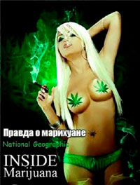 Правда о марихуане / The truth about marihuana (2010) - смотреть онлайн