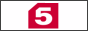 logo online tv Пятый канал