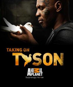 Человек против природы: Новый вызов Тайсона / Taking On Tyson (2011) смотреть онлайн